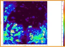 Chemical Imaging difetto superficiale su pellame