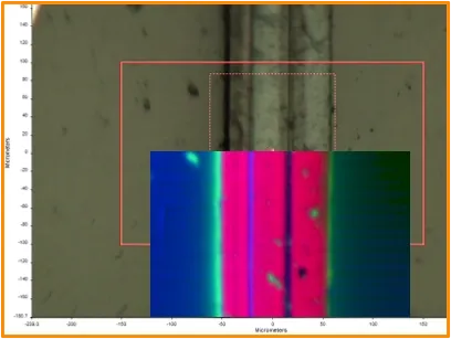 Chemical Imaging packaging multistrato in sezione
